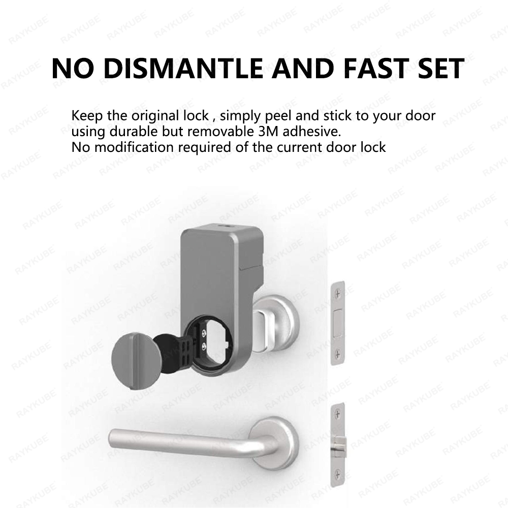 RAYKUBE A1 Pro Tuya BEL Set se - Woodworking App recensione e prezzo