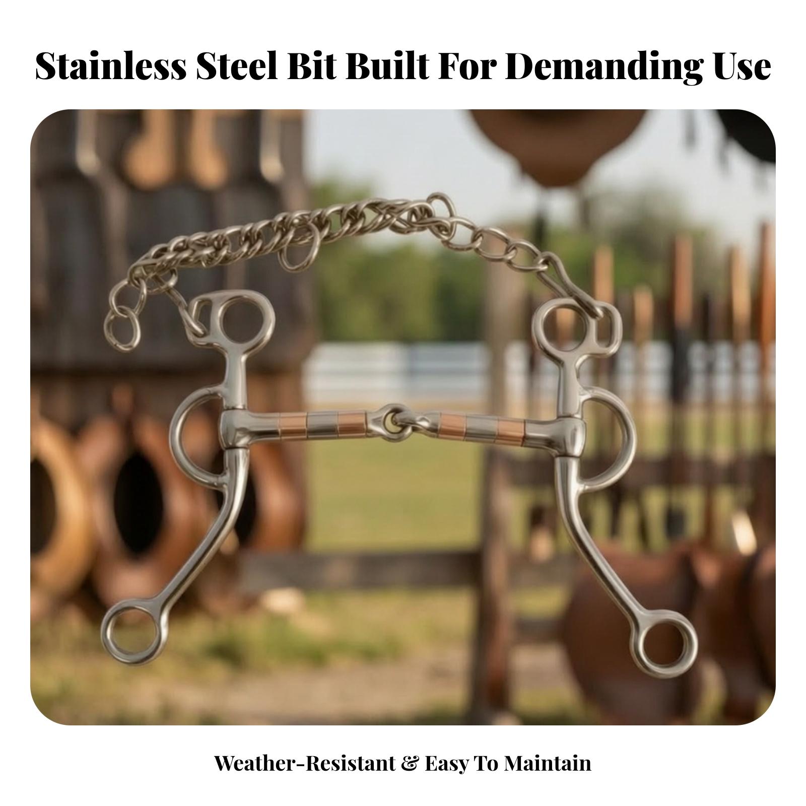 Morsa per cavalli con catena a - Woodworking Horse recensione e prezzo